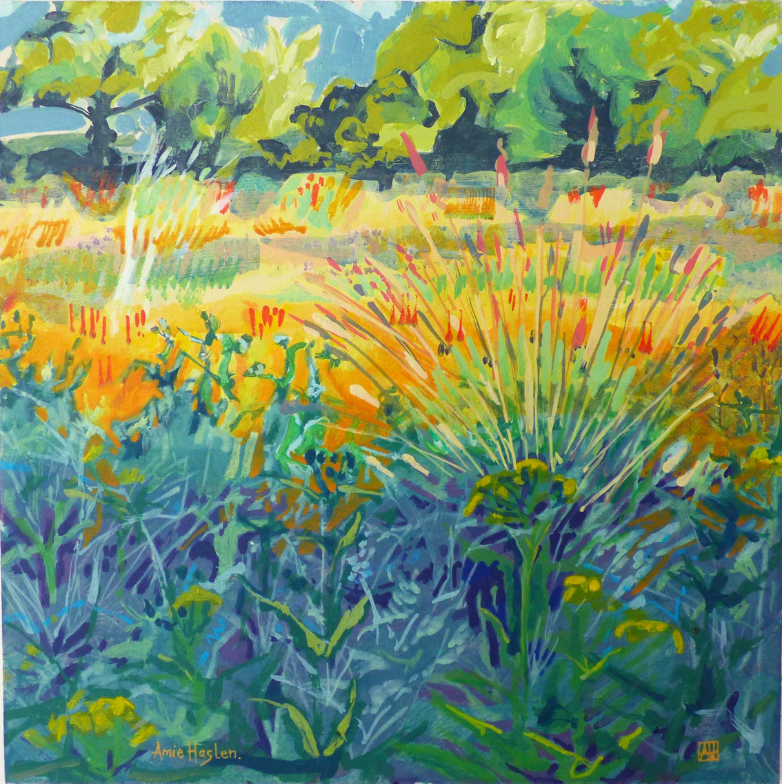 Light Before the Storm