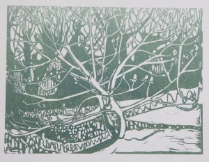 Sticky buds, frosty morning