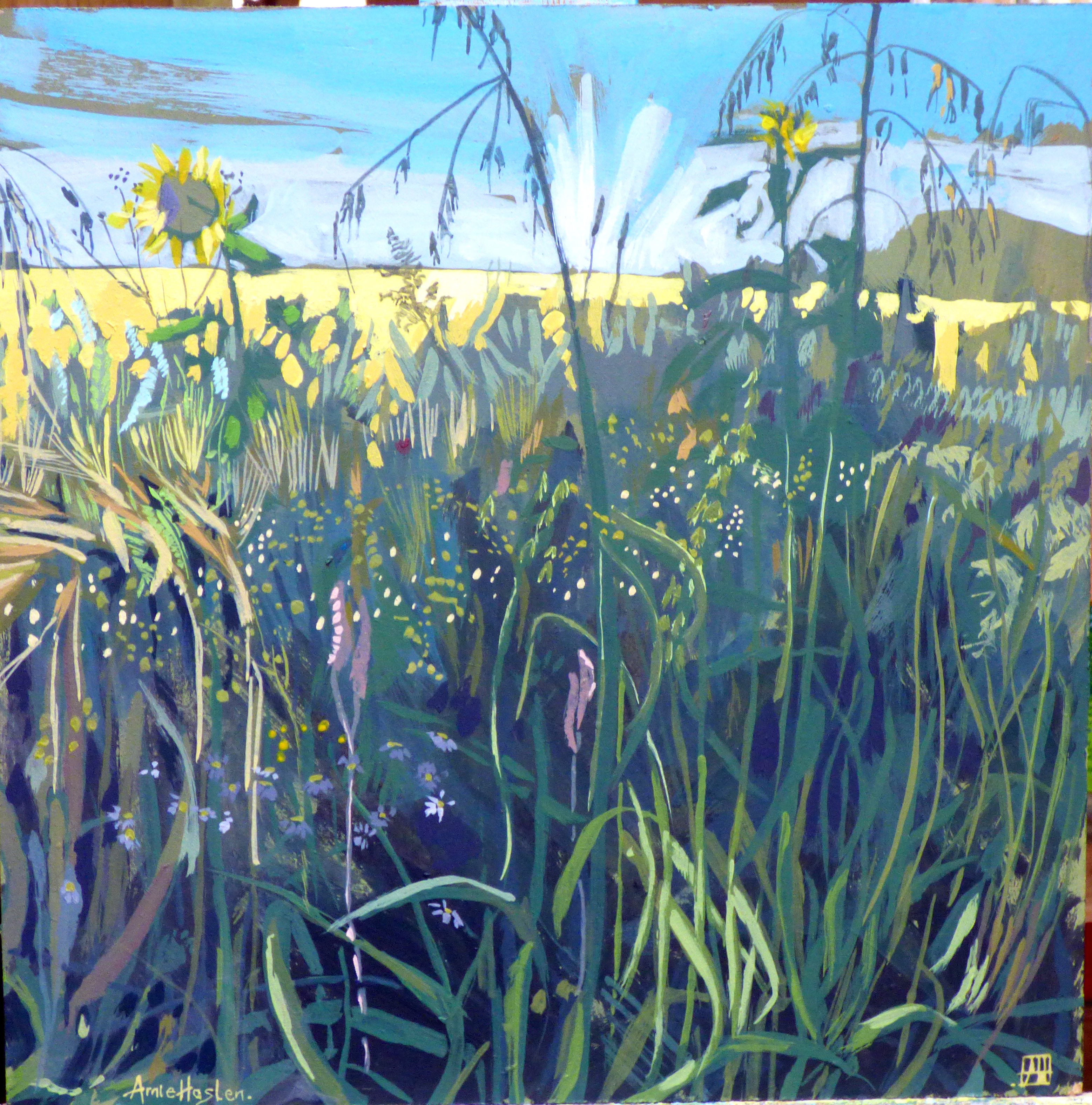 Sunflower Field Edge