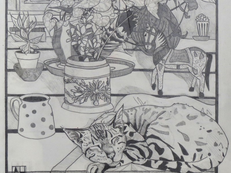 Norbert and the Horse