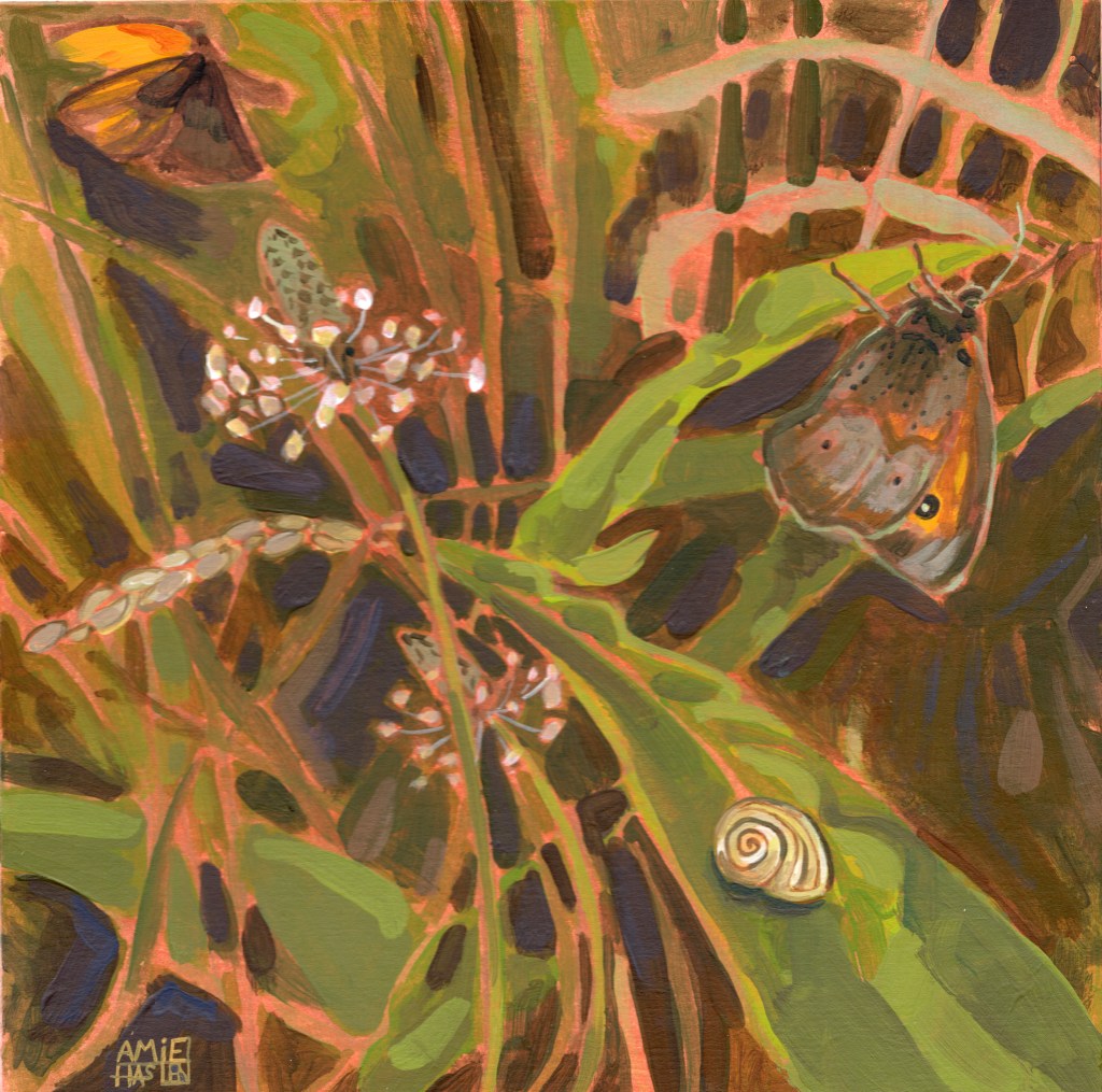 Meadow Brown Hiding in the Grass