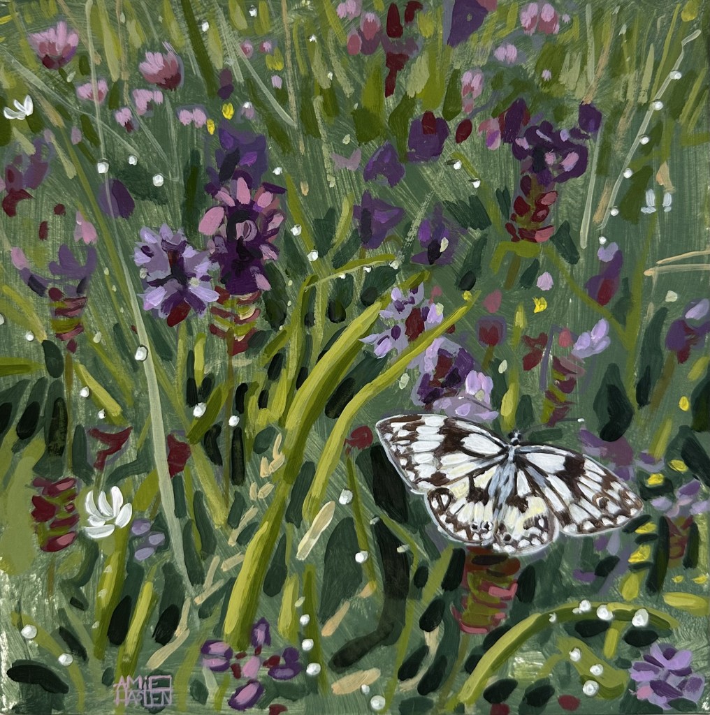 Marbled White in the Meadow after Rain, Pegsdon Hill