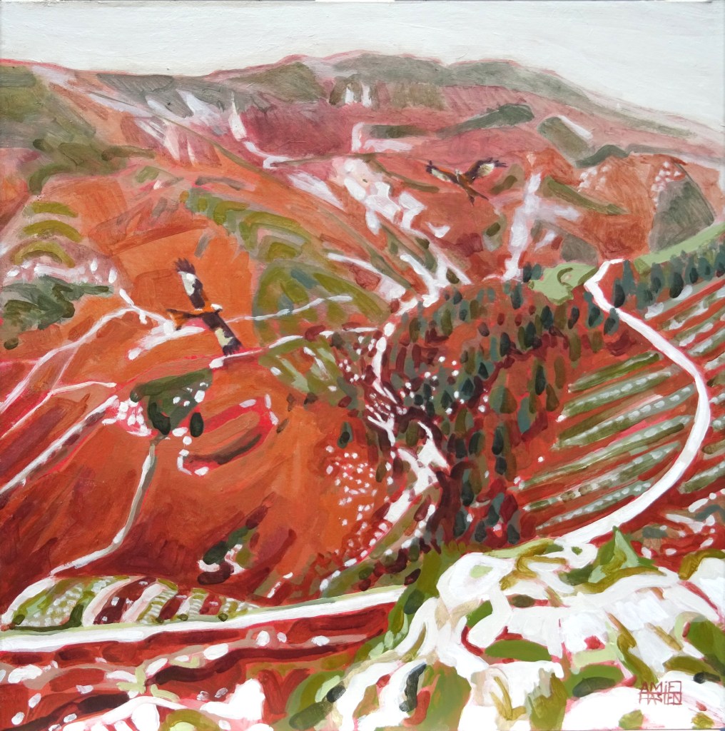 Red Kites Emerge from the Mist