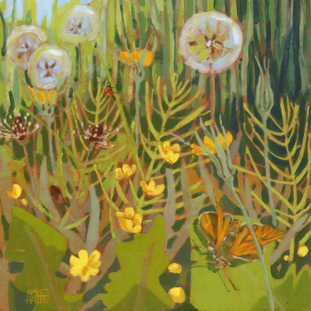 Large Skipper & Goats Beard