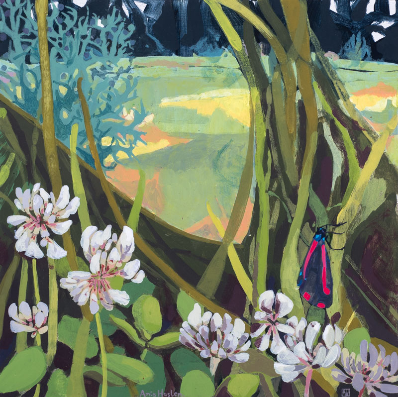 Cinnabar Moth and Clover