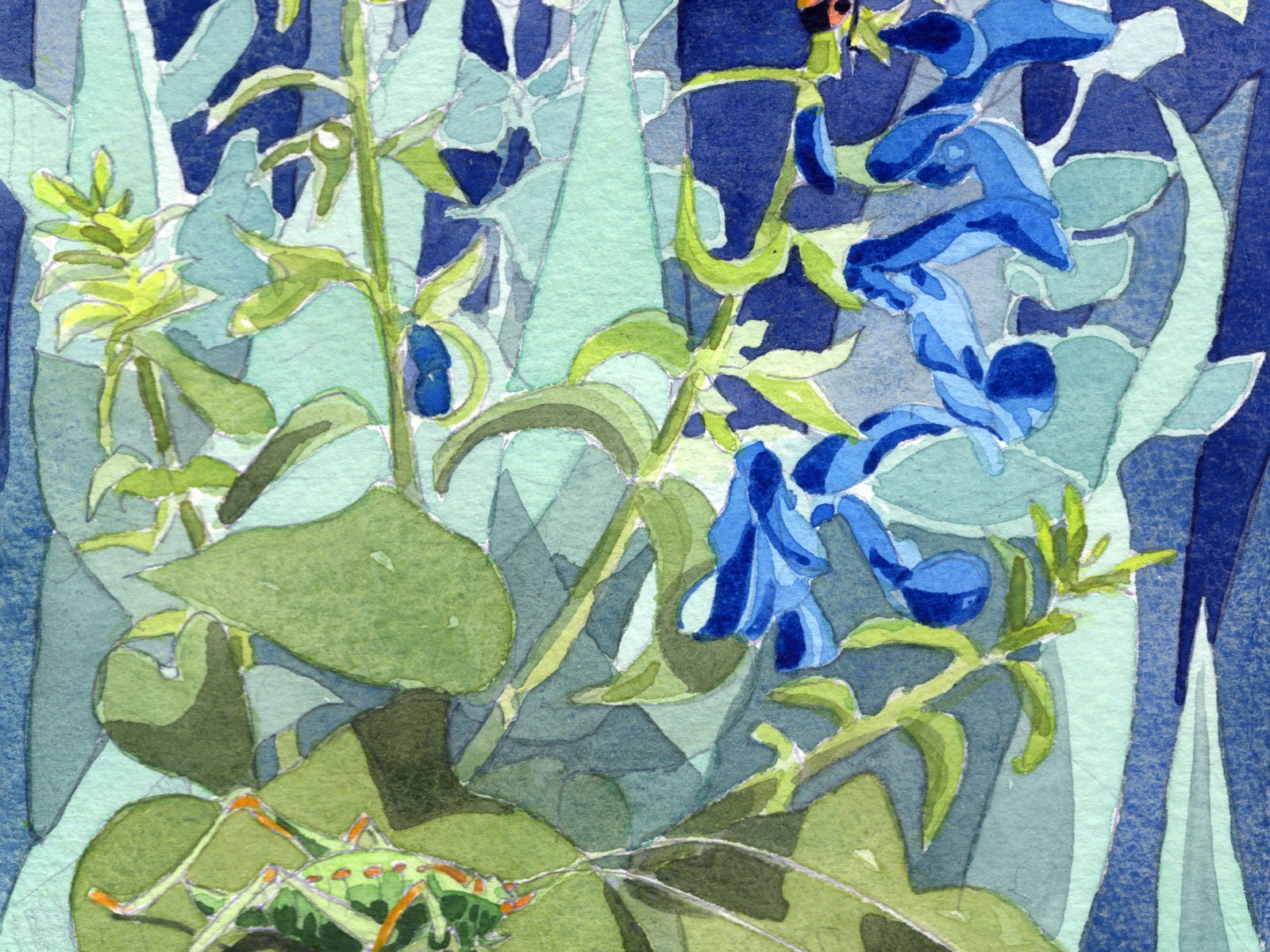 Hand-coloured Linocuts – amie haslen